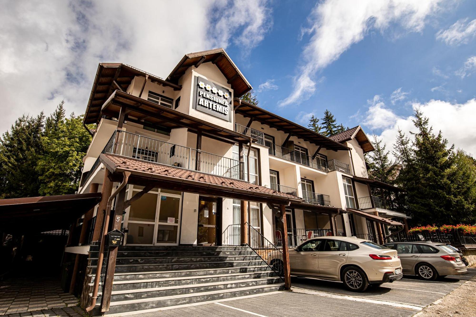 Artemis Villa ポイアナ・ブラショフ エクステリア 写真